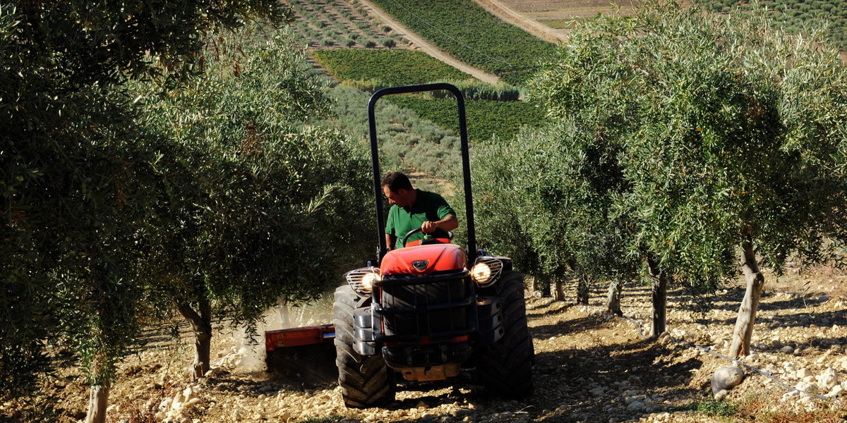 Antonio Carraro SRX 7800