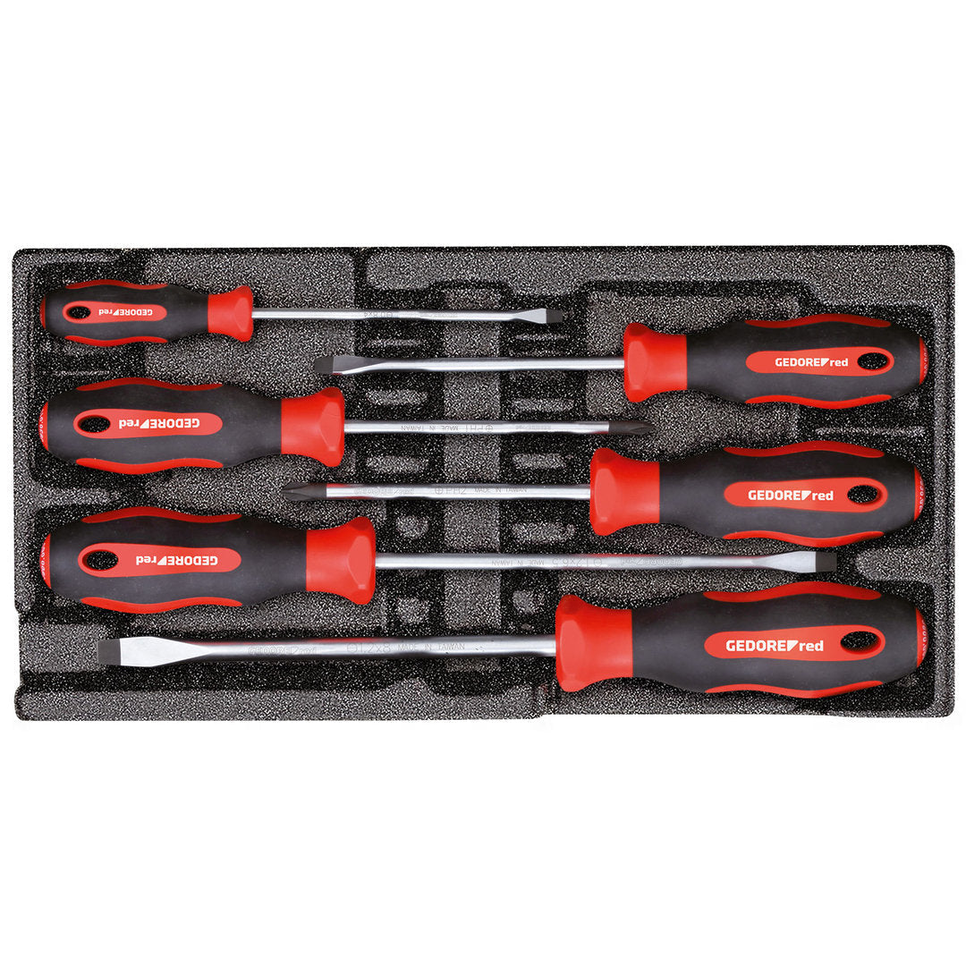 Juego de destornilladores PH SL modulo CT 2/6 6 piezas GEDORE red