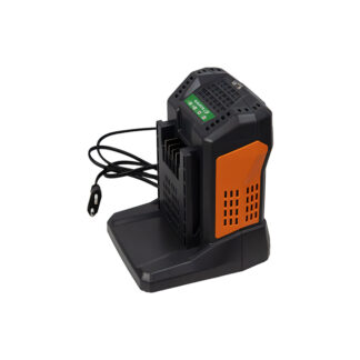 CARGADOR 5,5A  BATERÍA 60V ANOVA