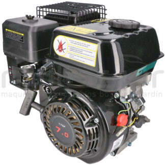 MOTOR COMPLETO 7CV RLT12GVH (49), BIO70 (24)